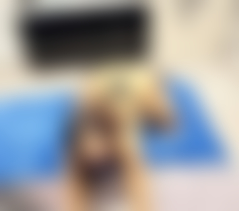 Trans Escorts Essex Thurrock - Essex - Photos for Hi I am a transsexual massage escort For more details call m